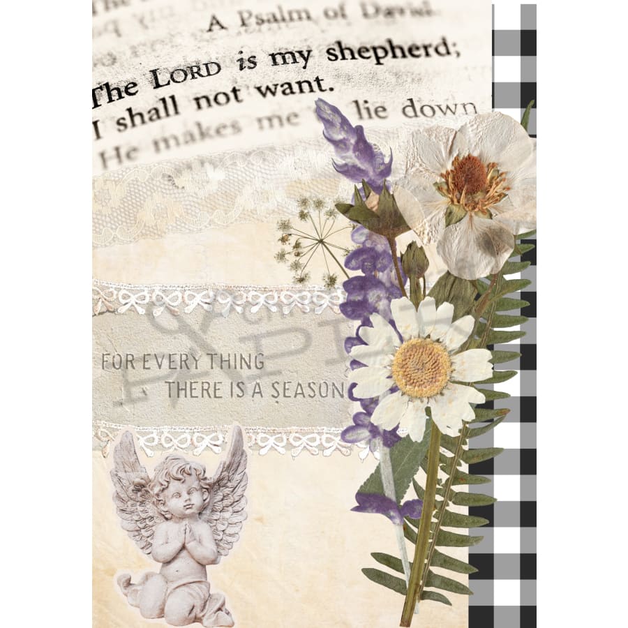 Rooted In His Word A4 Rice Paper 4-PK