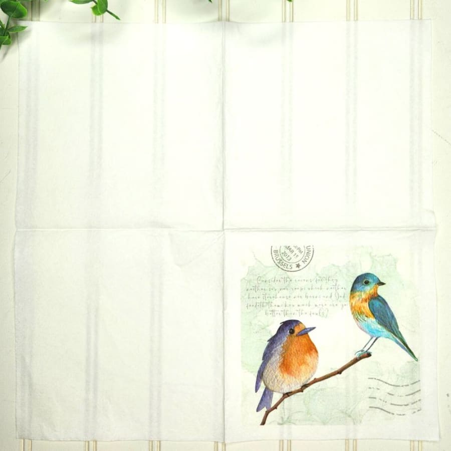 Consider The Birds Ravens Luke 12:24 Christian Paper