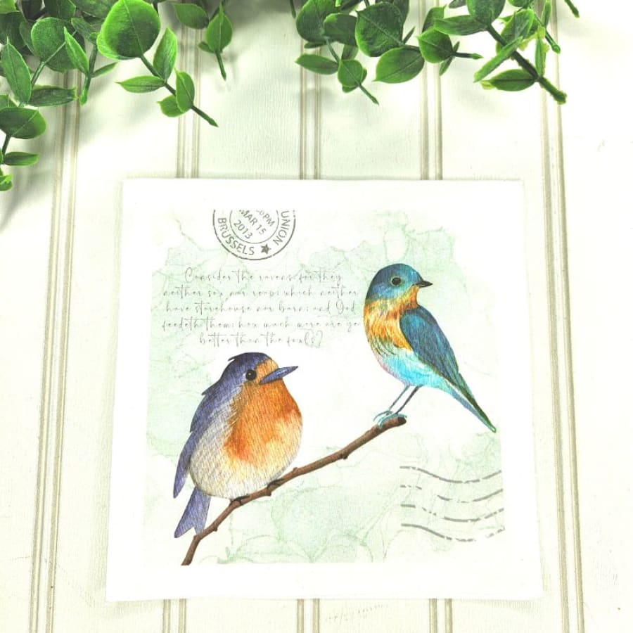Consider The Birds Ravens Luke 12:24 Christian Paper